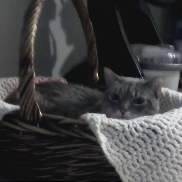 Meet your Posher, JeanMarie - Picture 4 of 10